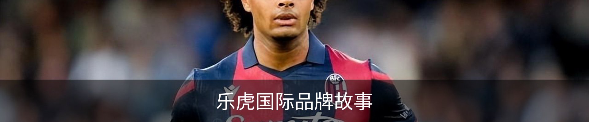乐虎国际品牌故事
