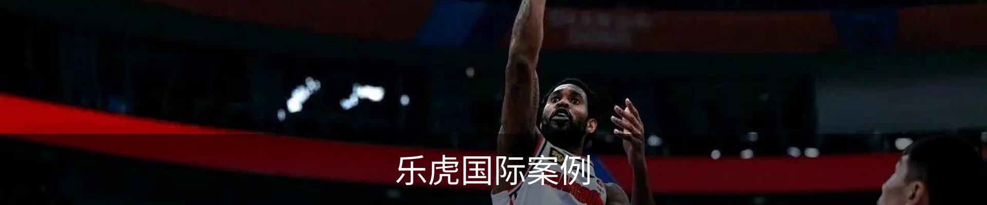 乐虎国际案例